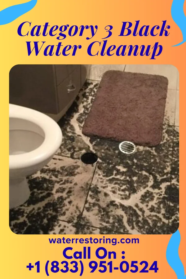 Category 3 Black Water Cleanup in Greenwood, FL